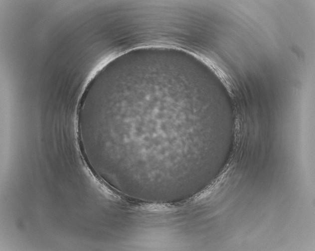 X0000116000998200912031505