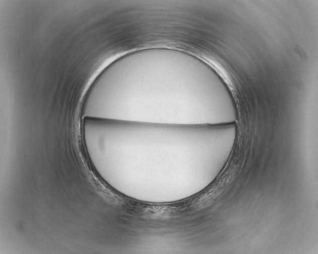 X0000116001000200912031505