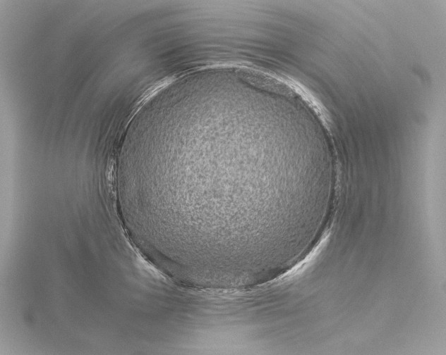 X0000116001001200912031505