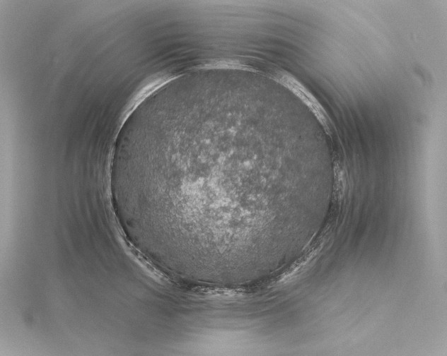 X0000116001002200912031505