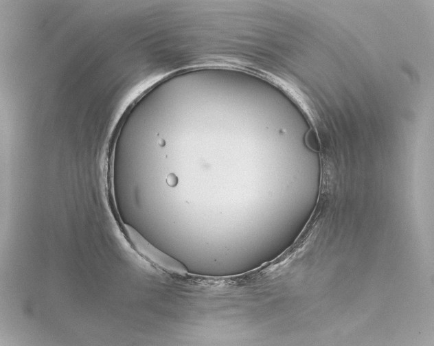 X0000116001003200912031505