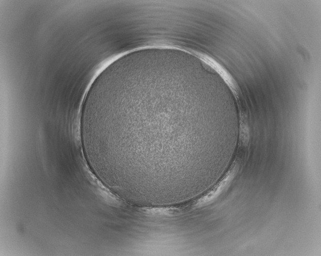 X0000116001004200912031505