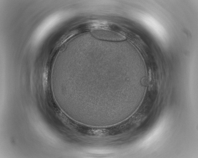 X0000116001005200912031505