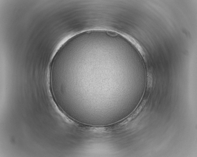 X0000116001006200912031505