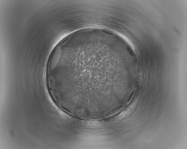 X0000116001007200912031505