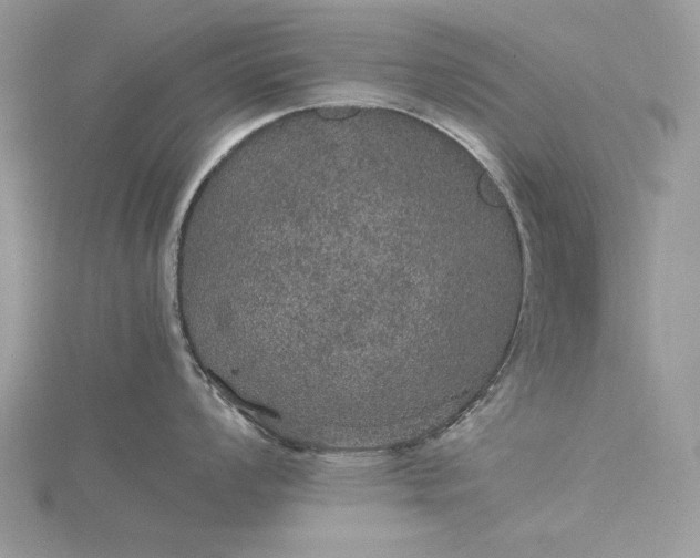 X0000116001008200912031505