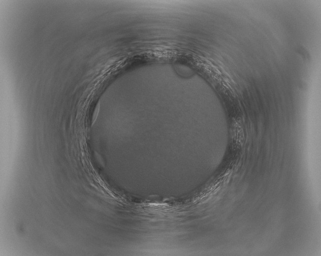 X0000116001009200912031504