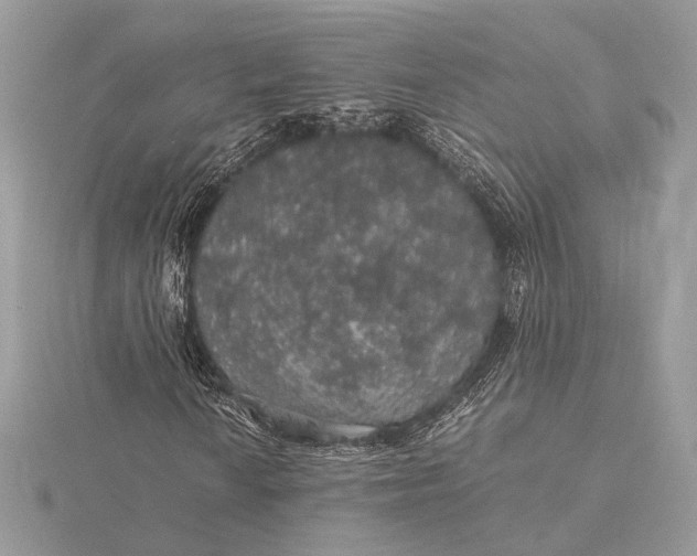 X0000116001010200912031504