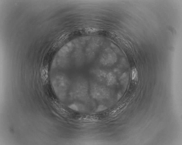 X0000116001011200912031504