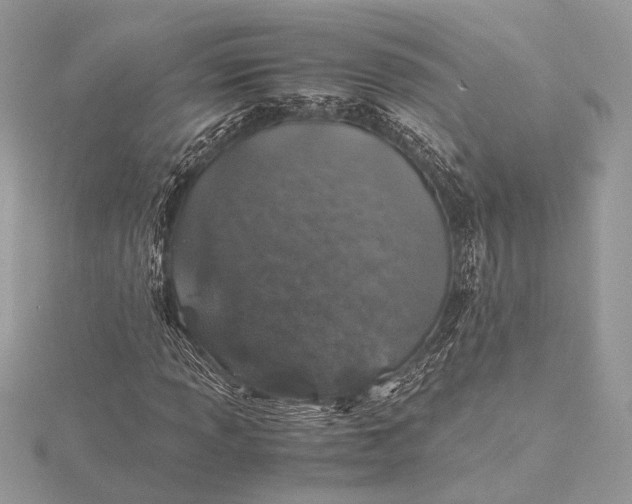 X0000116001013200912031504