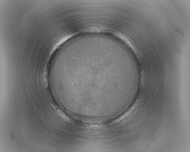 X0000116001018200912031504