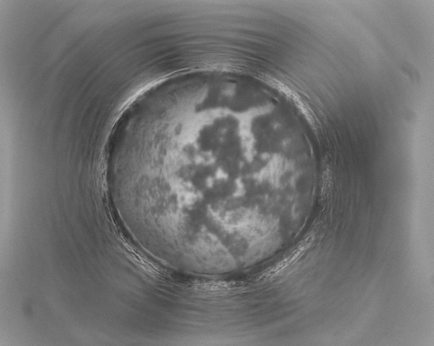 X0000116001019200912031504