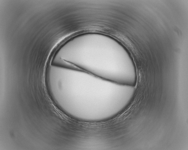 X0000116001020200912031504