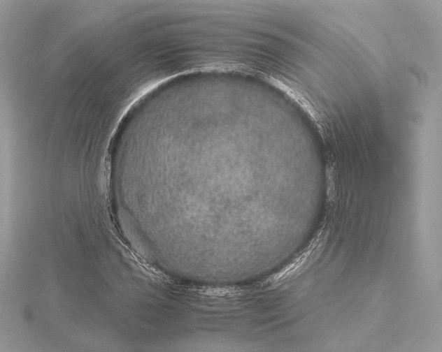 X0000116001021200912031504