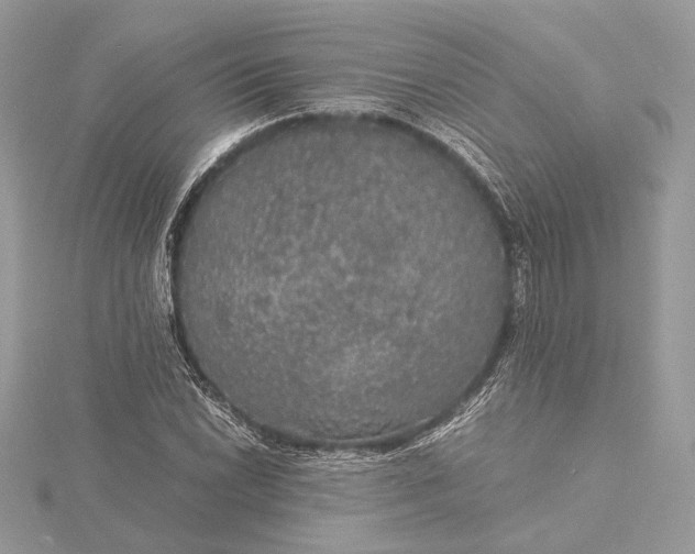 X0000116001022200912031504