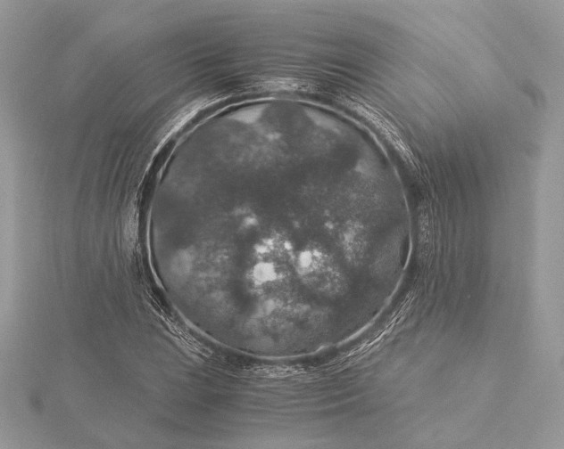 X0000116001023200912031504