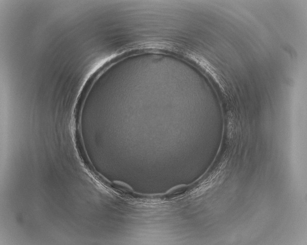 X0000116001024200912031504