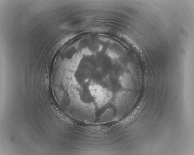 X0000116001025200912031504