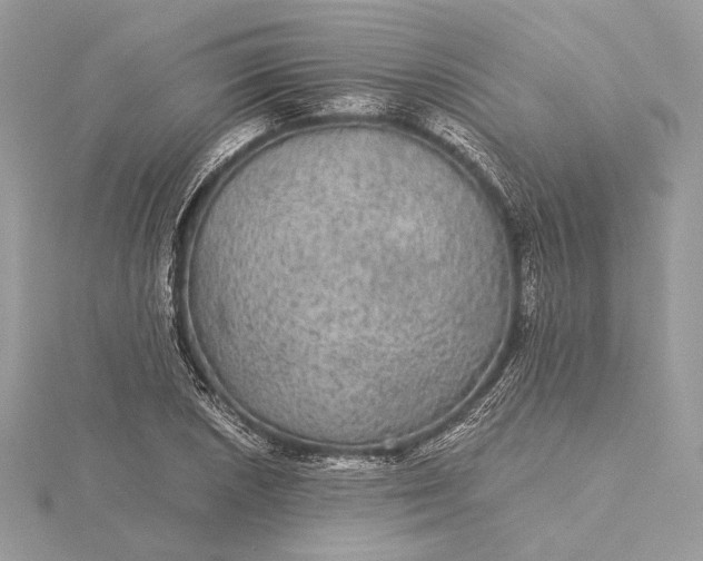 X0000116001026200912031504