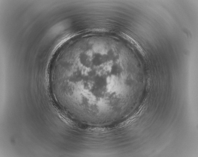 X0000116001027200912031504