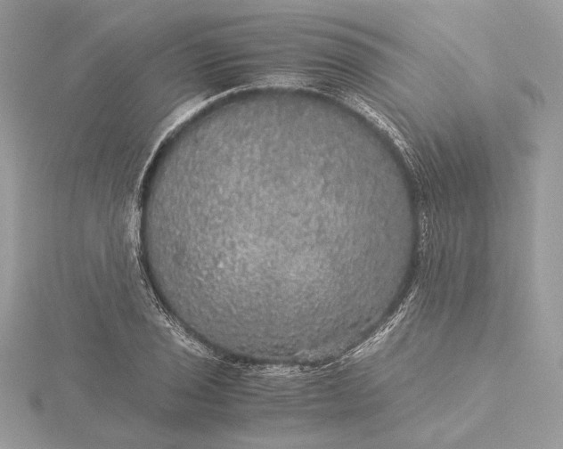 X0000116001029200912031504