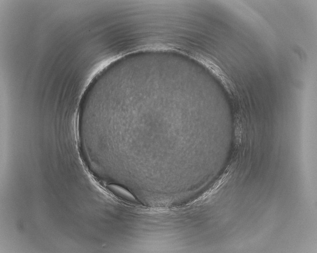 X0000116001030200912031504