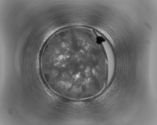 X0000116001031200912031504