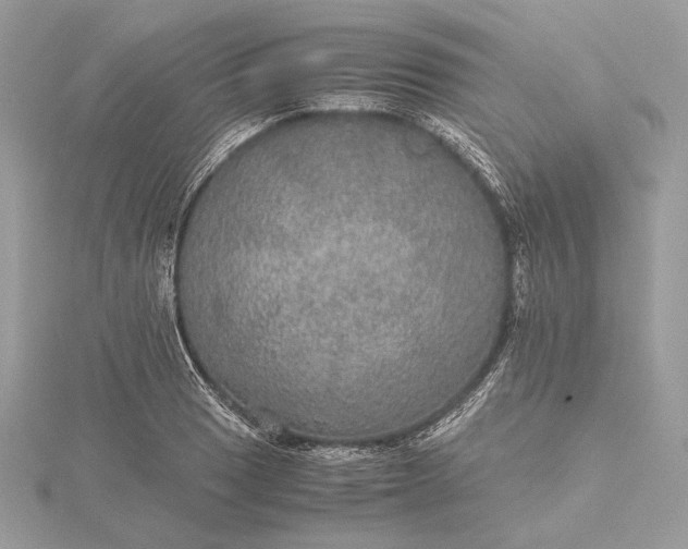 X0000116001033200912031504