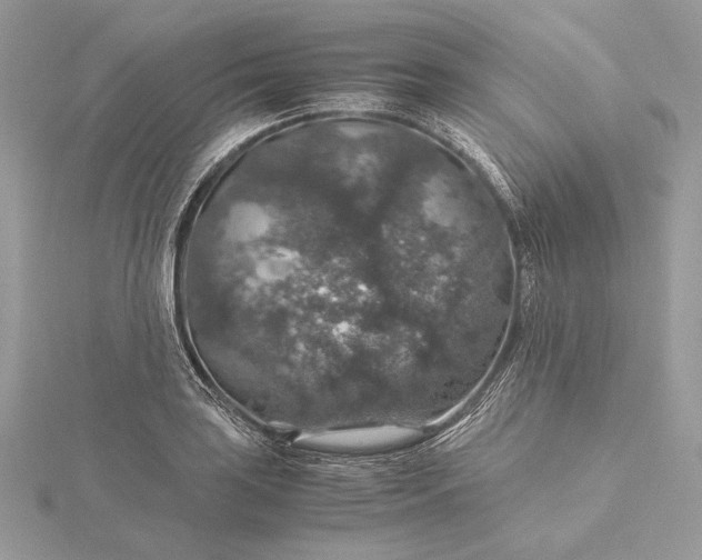 X0000116001035200912031504