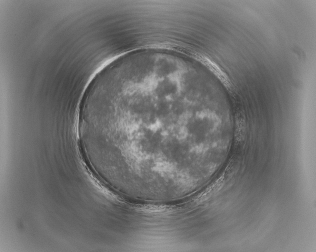 X0000116001036200912031504