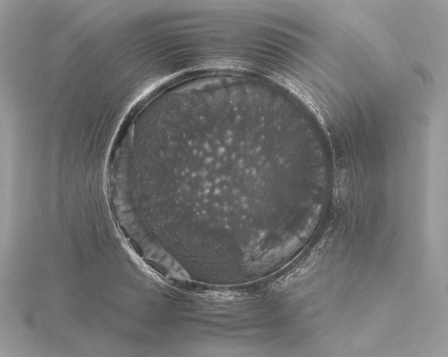 X0000116001037200912031504