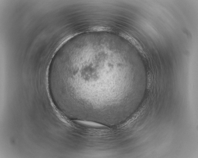 X0000116001039200912031504