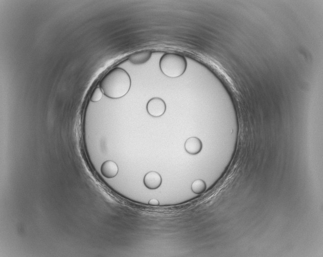 X0000116001040200912031504