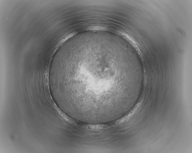 X0000116001041200912031504