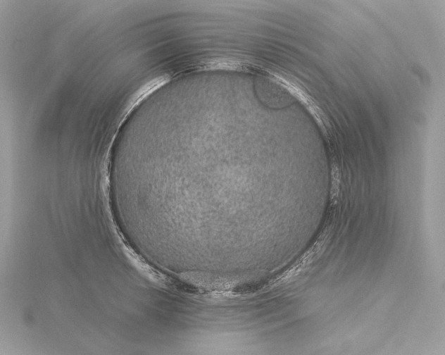 X0000116001042200912031505