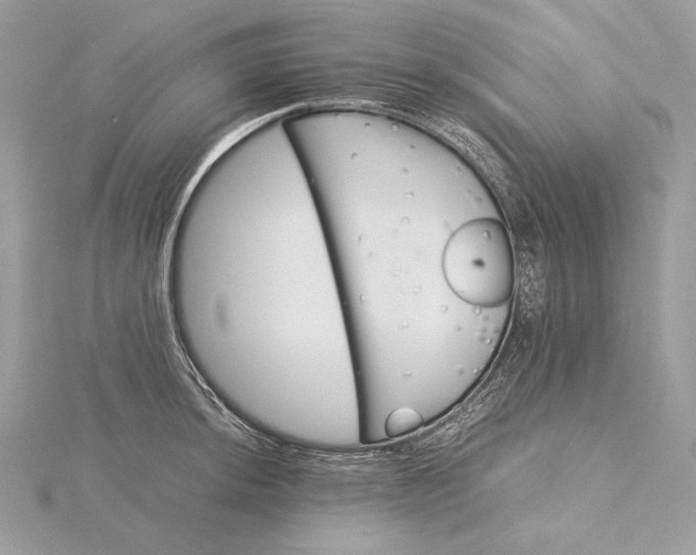 X0000116001044200912031505