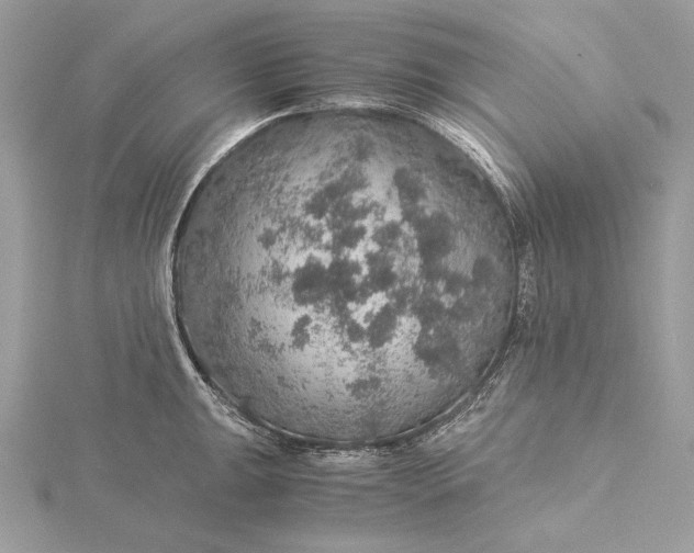 X0000116001047200912031505