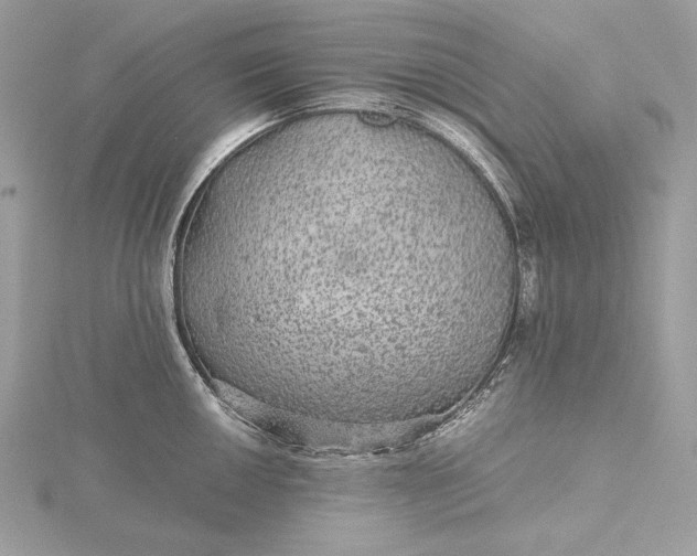 X0000116001050200912031505