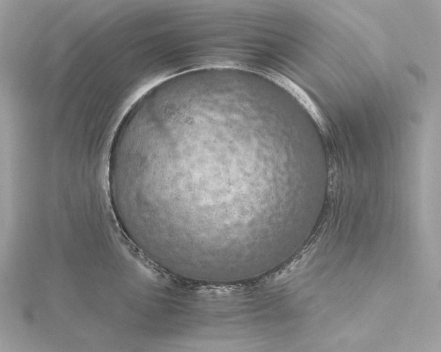 X0000116001051200912031505