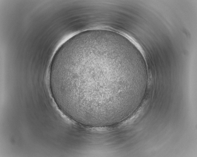 X0000116001053200912031505