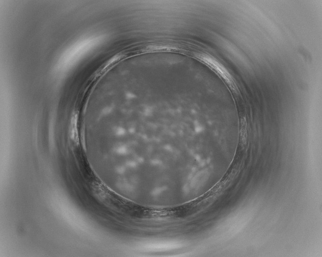 X0000116001055200912031505