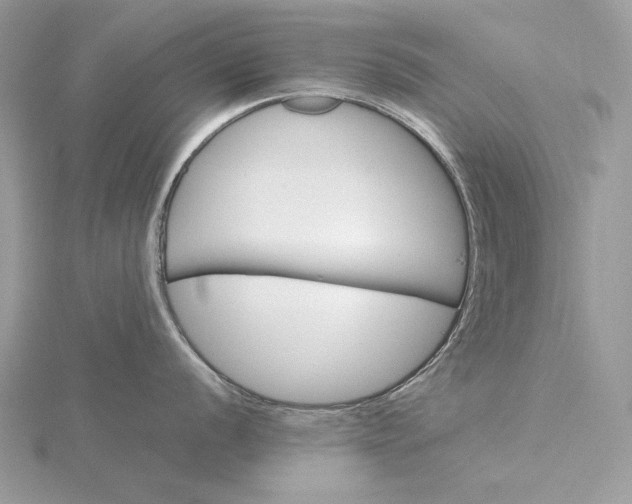 X0000116001056200912031505