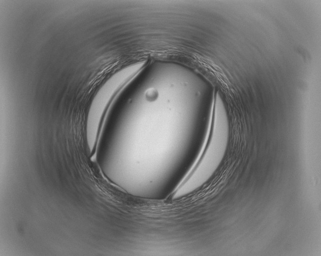 X0000116001060200912031504