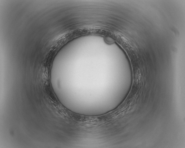 X0000116001062200912031504