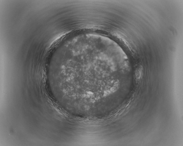 X0000116001064200912031504