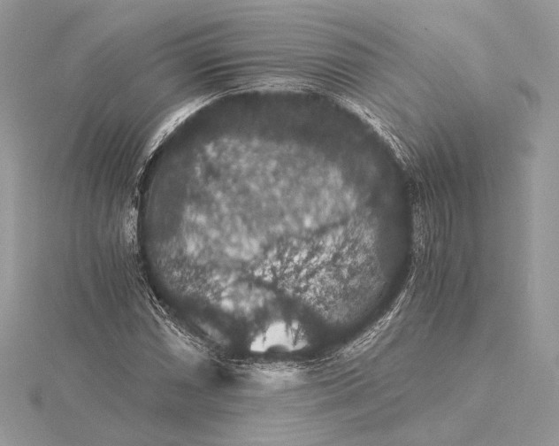 X0000116001066200912031504