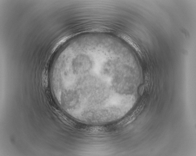 X0000116001067200912031504