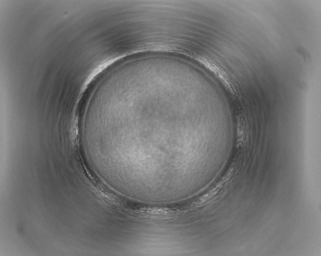 X0000116001070200912031504