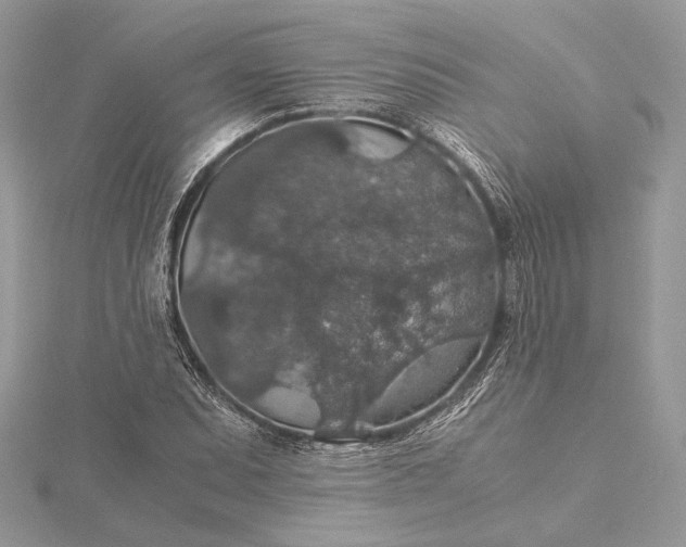 X0000116001071200912031504