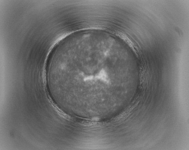 X0000116001072200912031504